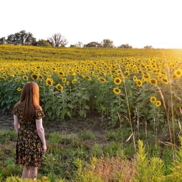 Anthro Maeve Black & Marigold Yellow Floral Swing Sundress Dress - Picture 2 of 16